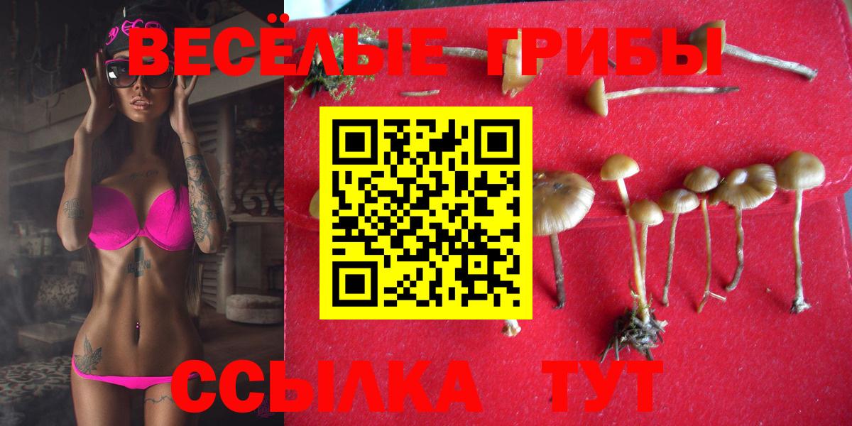 Лобня  Псилоцибиновые грибы MAGIC MUSHROOMS  Вход с VPN  Псилоцибиновые грибы Psilocybine cubensis 